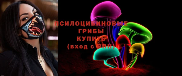 прущие грибы Покров