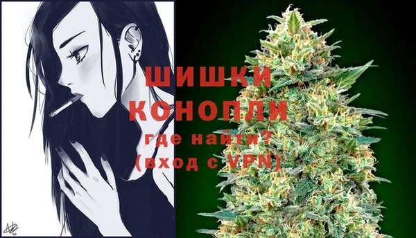 прущие грибы Покров
