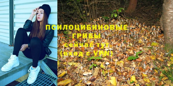 тгк Абдулино