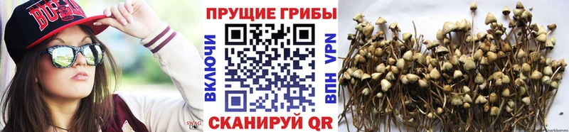Галлюциногенные грибы ЛСД купить Заринск